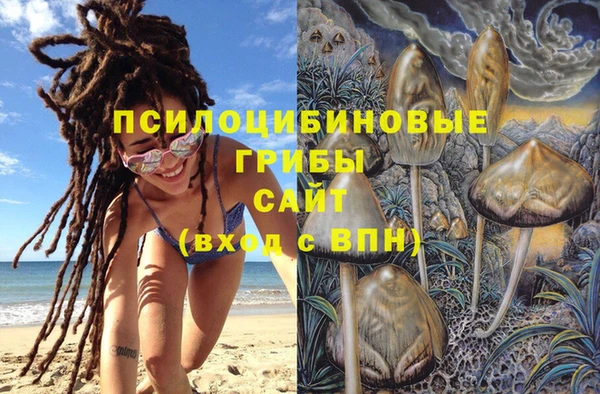 прущие крисы Алексин